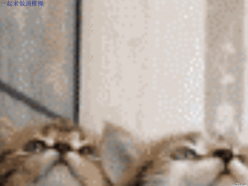 一起来做颈椎操